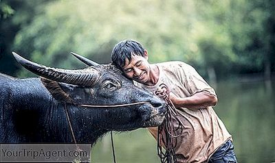 11 Raisons Pour Lesquelles Vous Allez Tomber Amoureux Des Gens Au Laos