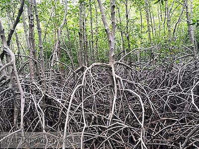 10 Taman Kebangsaan Negara Yang Paling Menakjubkan 2019