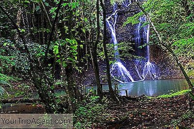 Tur Rippling Air Terjun St Lucia