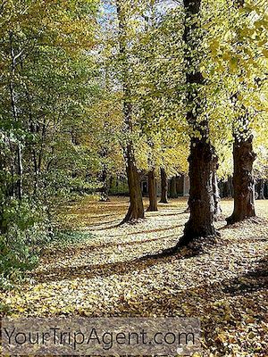 Tervuren Park, Belgium: Walk Through History