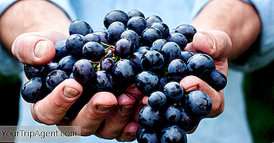 La Guía Para Principiantes Para Beber Vino Francés