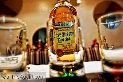 Los Mejores Tequilas Para Probar En Tu Viaje A México