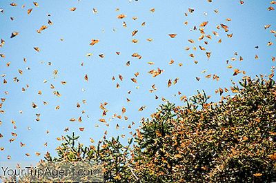 Una Guía Para La Isla De Janitzio: La Isla Mariposa De México