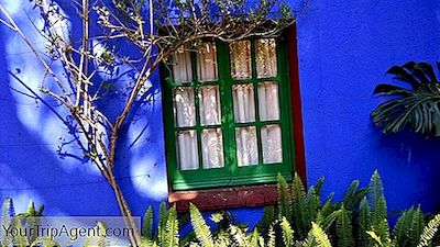 La Historia Del Museo Frida Kahlo En 1 Minuto