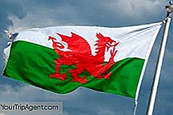 Lyhyt Historia Welsh Flag Ja Sen Red Dragon