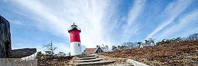 De 10 Beste Barene I Cape Cod, Massachusetts
