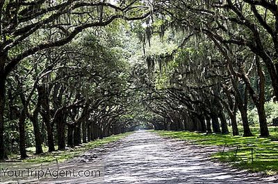 Les Meilleurs Restaurants Et Restaurants De Historic Savannah, Géorgie