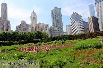 I 10 Migliori Giardini Per Fuggire A Chicago
