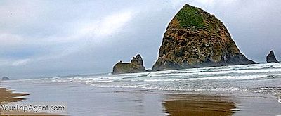 Top 10 Restaurants In Cannon Beach, Oregon