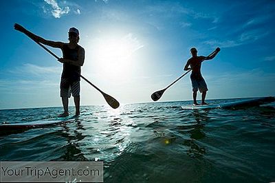 Lugares Inolvidables Para Ir Paddleboarding En El Área De La Bahía